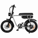 Fatbike_Alfamax_Zilver_1